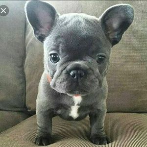 Meet your Posher, Ali